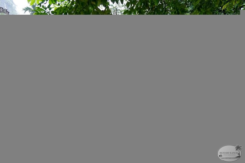 DSC01928culture-hanoi.jpg