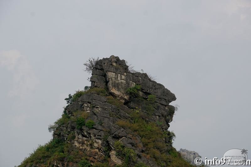 DSC01785kenh-ga.jpg