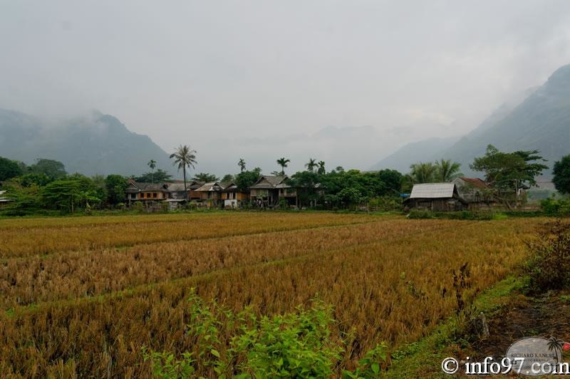 DSC01678mai-chau.jpg