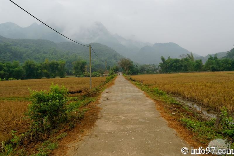 DSC01680mai-chau.jpg