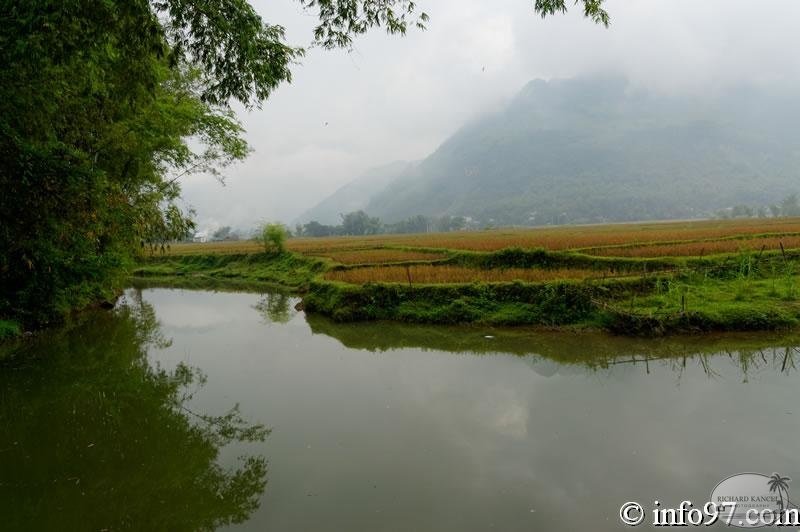 DSC01697mai-chau.jpg