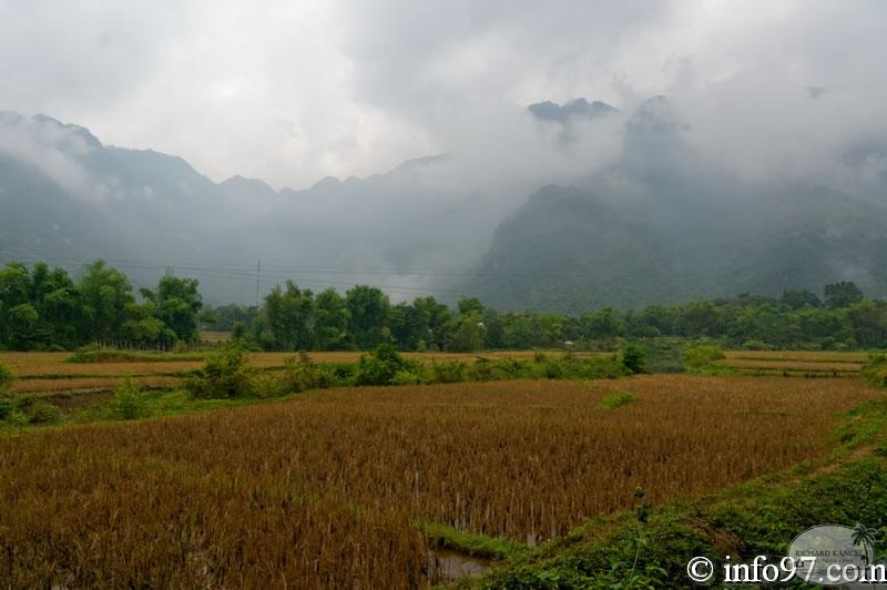 DSC01710mai-chau.jpg
