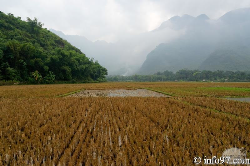 DSC01717mai-chau.jpg