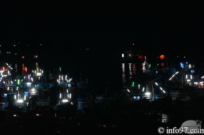 DSC02268ba-cat-nuit.jpg