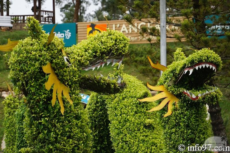 DSC03394dalat-jardin.jpg