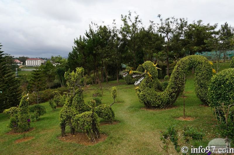 DSC03430dalat-jardin.jpg