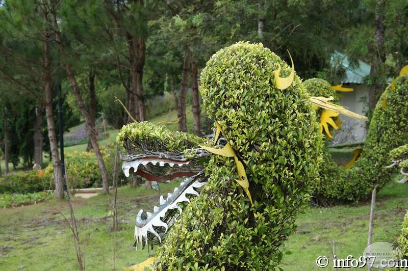 DSC03433dalat-jardin.jpg
