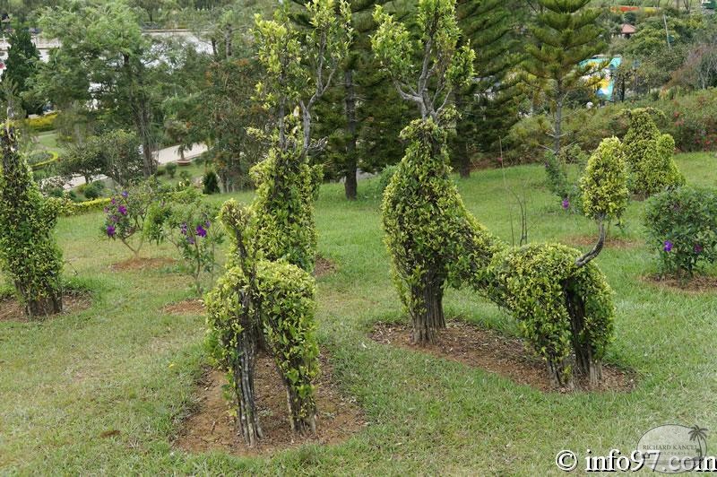 DSC03435dalat-jardin.jpg
