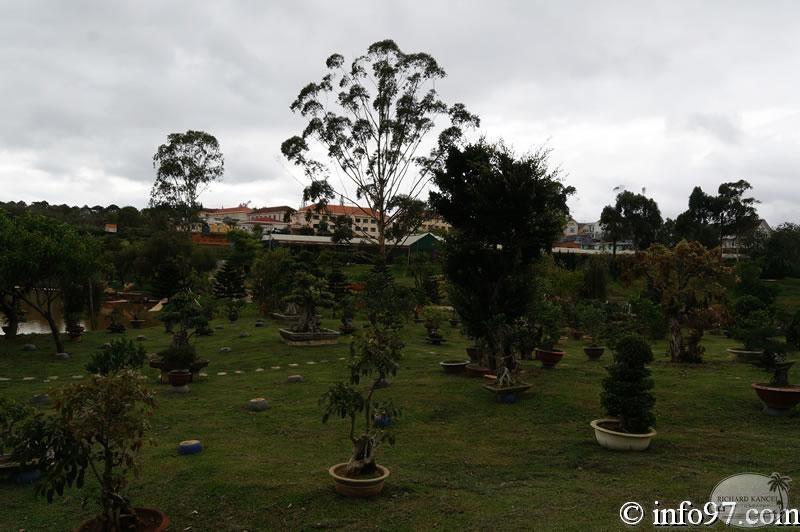 DSC03440dalat-jardin.jpg