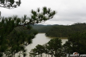 DSC03475dalat-jardin