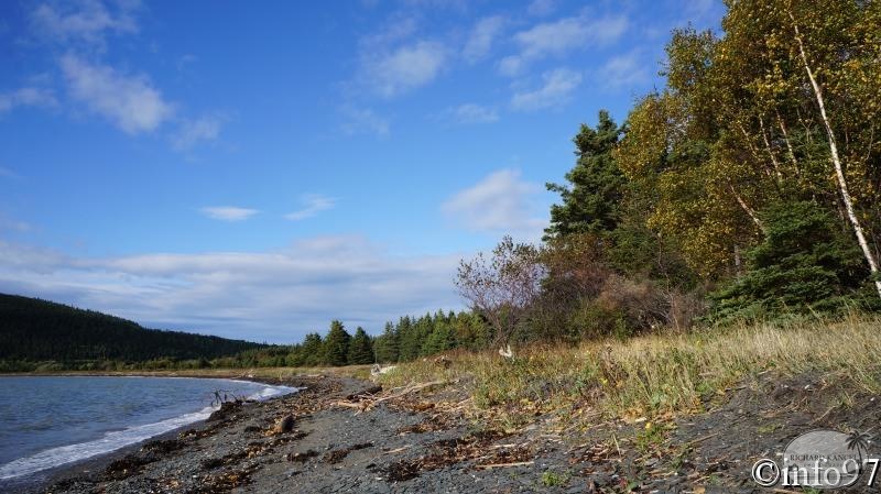 dsc07903.jpg