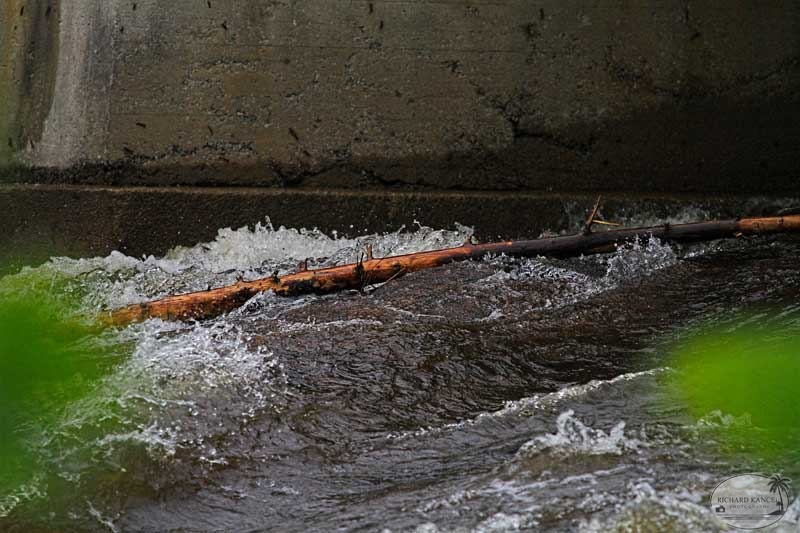 eaux-19.jpg