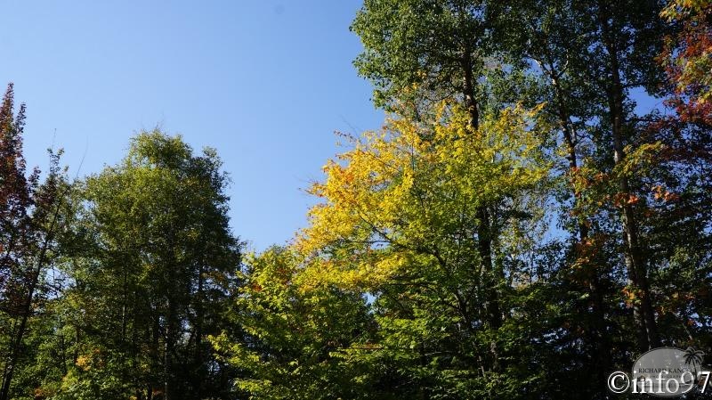 dsc09121.jpg