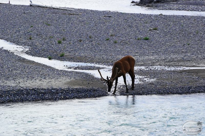 park-jasper-089.jpg