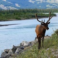 park-jasper-092.jpg