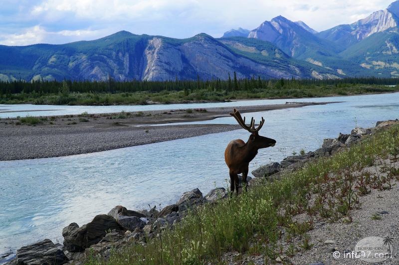 park-jasper-093.jpg