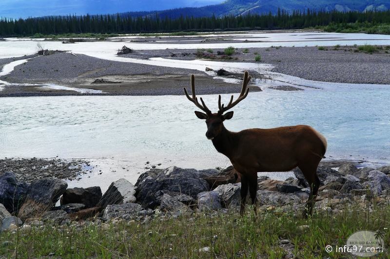 park-jasper-095.jpg