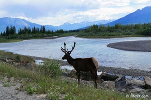 park-jasper-098