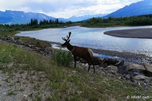 park-jasper-100