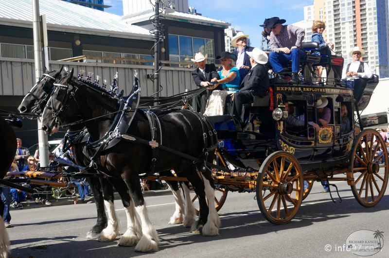rodeo-stampede-parade-053.jpg