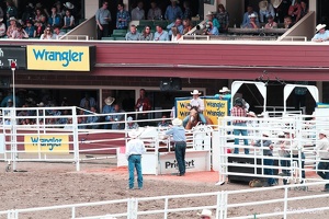 rodeo-stampede-alberta-024