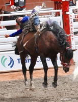 rodeo-stampede-alberta-035