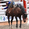 rodeo-stampede-alberta-035