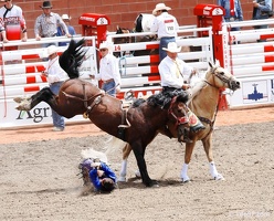 rodeo-stampede-alberta-037