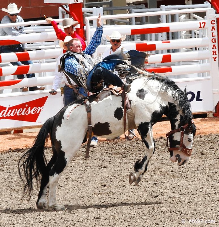 rodeo-stampede-alberta-041.jpg