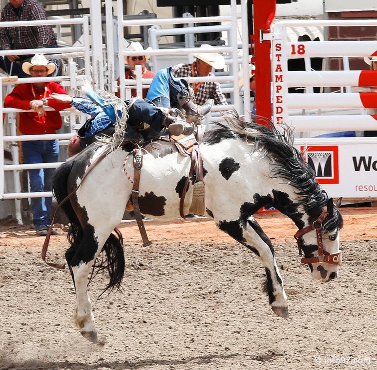 rodeo-stampede-alberta-044.jpg