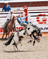 rodeo-stampede-alberta-045