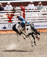 rodeo-stampede-alberta-048