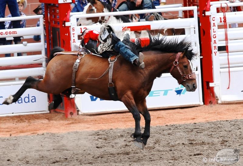 rodeo-stampede-alberta-049.jpg
