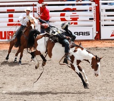 rodeo-stampede-alberta-053