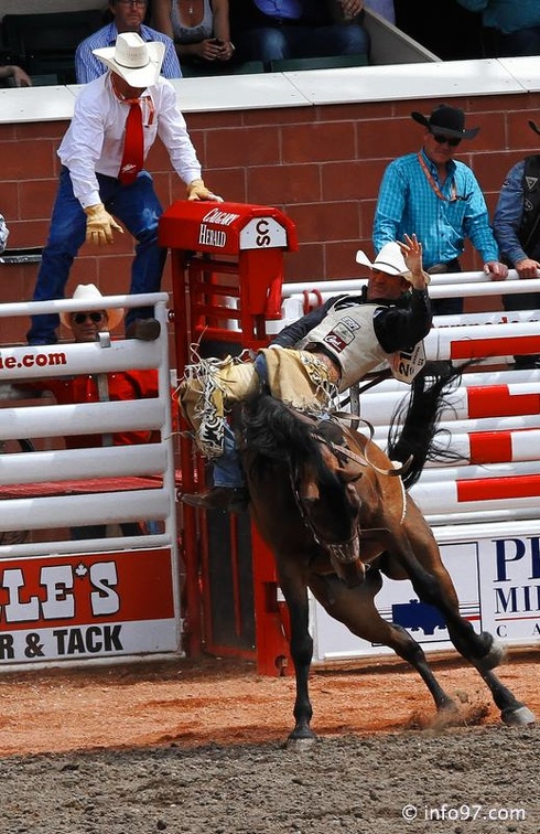 rodeo-stampede-alberta-058.jpg