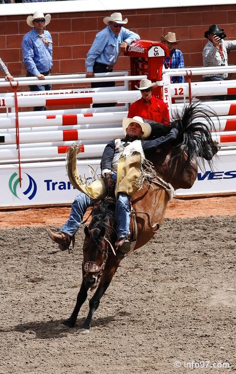 rodeo-stampede-alberta-062.jpg