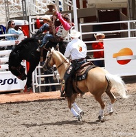 rodeo-stampede-alberta-064