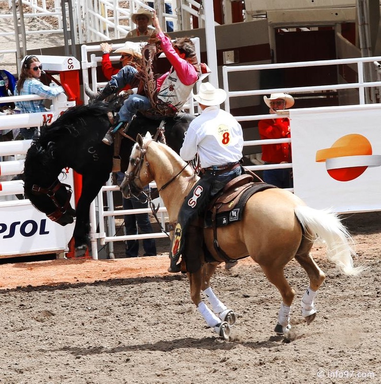 rodeo-stampede-alberta-064.jpg