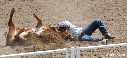 rodeo-stampede-alberta-066