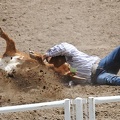 rodeo-stampede-alberta-066.jpg