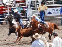 rodeo-stampede-alberta-068