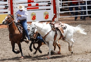 rodeo-stampede-alberta-069
