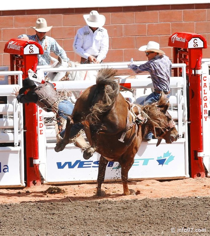 rodeo-stampede-alberta-077.jpg