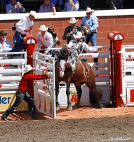 rodeo-stampede-alberta-081