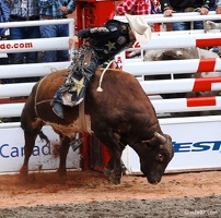 rodeo-stampede-alberta-085