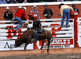 rodeo-stampede-alberta-089