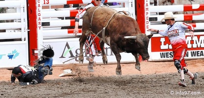 rodeo-stampede-alberta-091