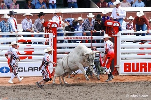 rodeo-stampede-alberta-099