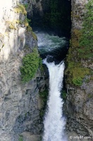 clearwater-park-wells-gray-064