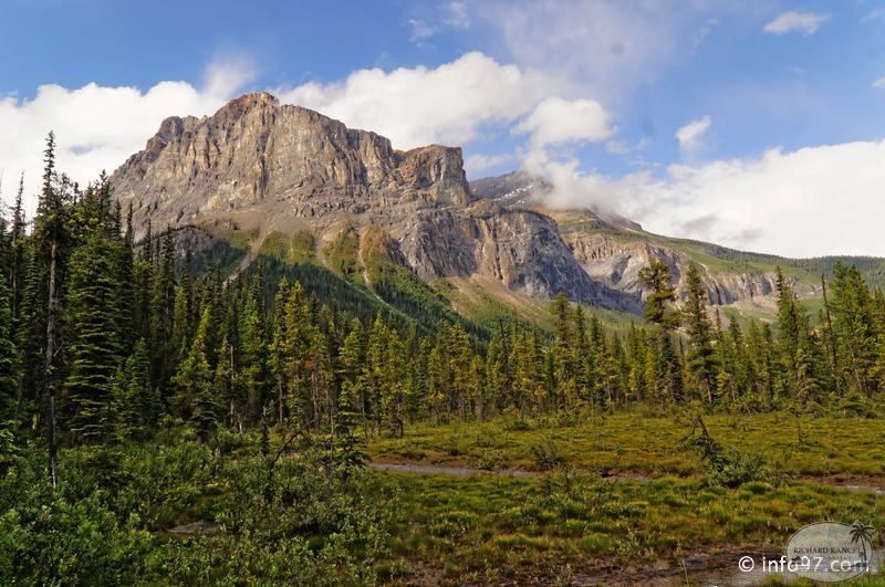 park-yoho-bc-68.jpg